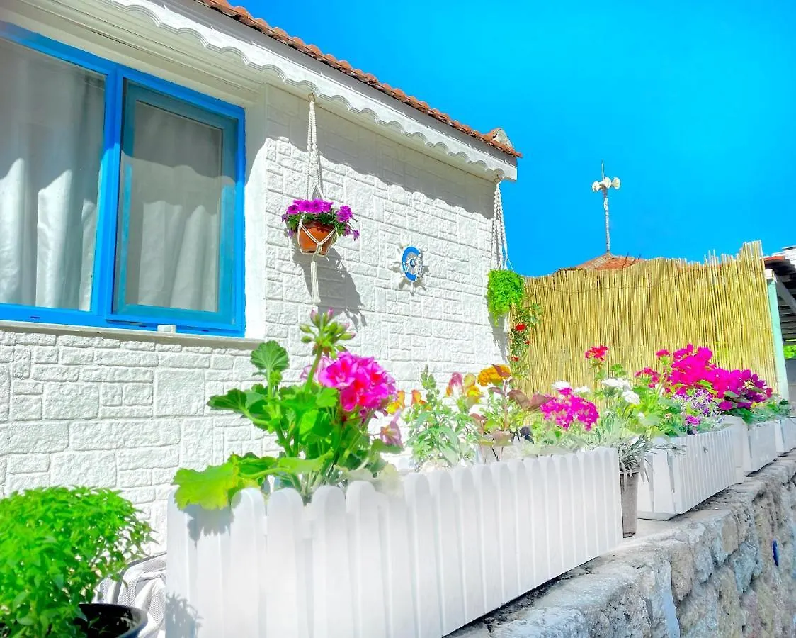 Tiny House Focha Villa Foça